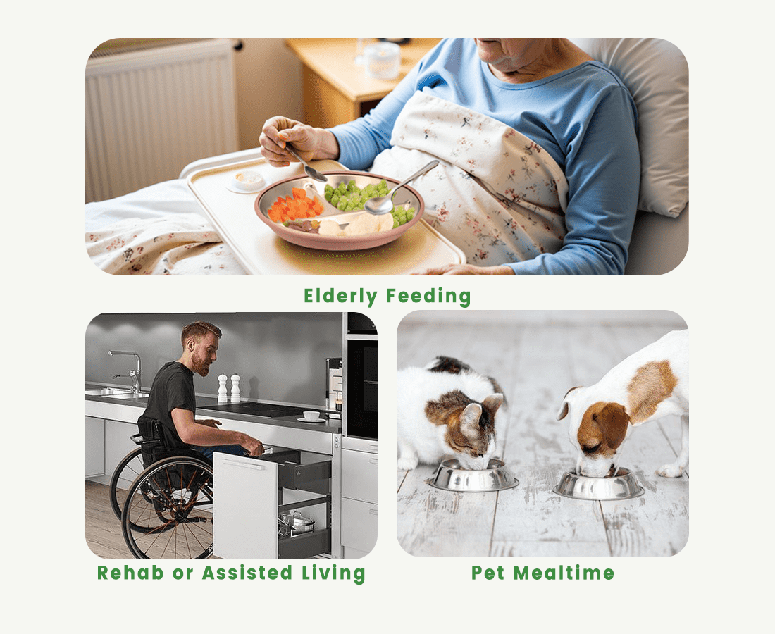 Care & Support