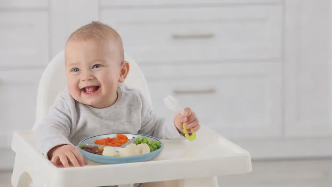 suction plate toddler