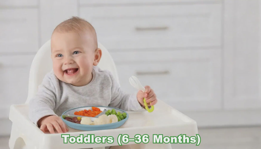 kids suction plate